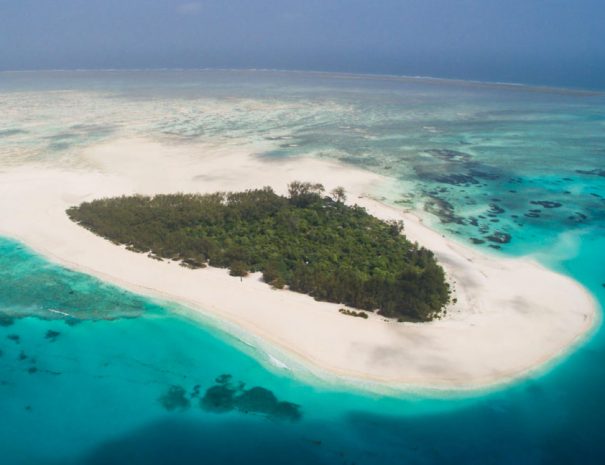 Mnemba Island. Lemon Tours