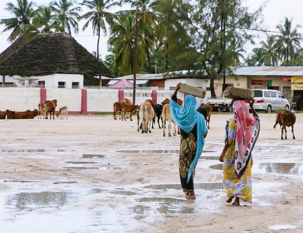 Turtle Aquarium & Nungwi Village Cultural Experience3