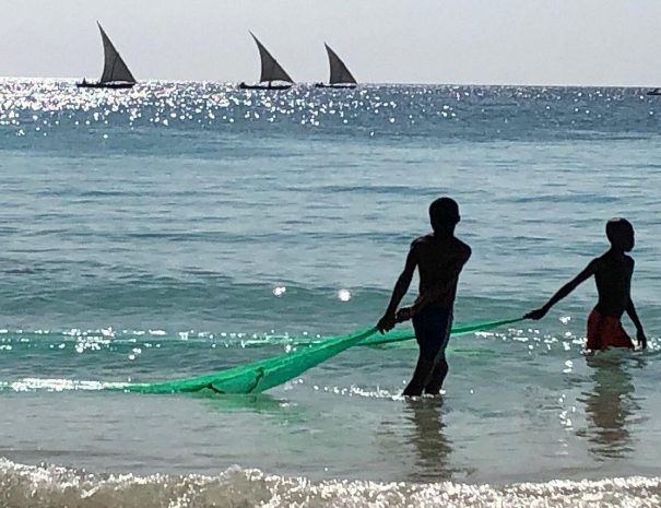 Turtle Aquarium & Nungwi Village Cultural Experience6