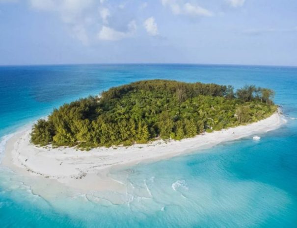 mnemba-atoll-snorkeling-trip