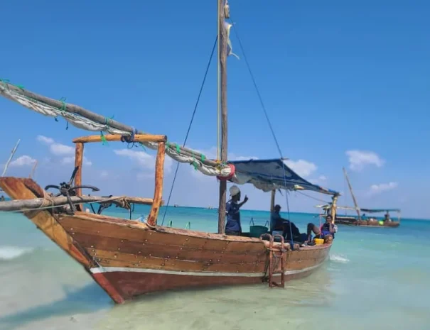 safari-blue-go-smart