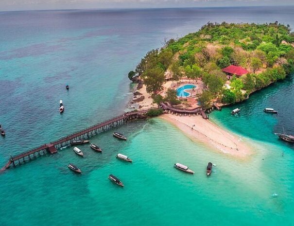 🌿 Jozani Forest, Spice Tour with Lunch, and Prison Island Adventure